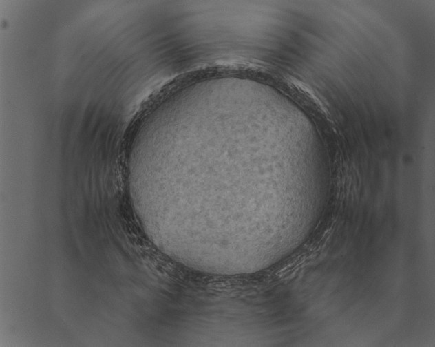 X0000089670776200707121223