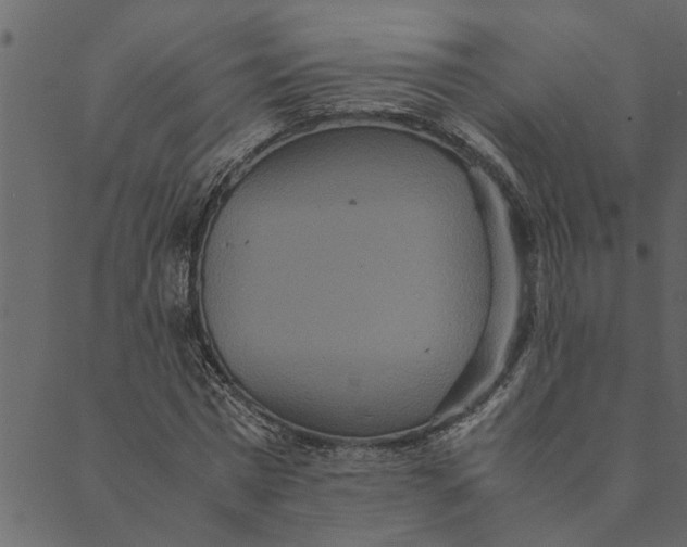 X0000089670777200707121223