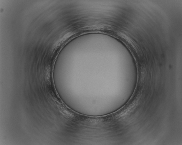 X0000089670778200707121223