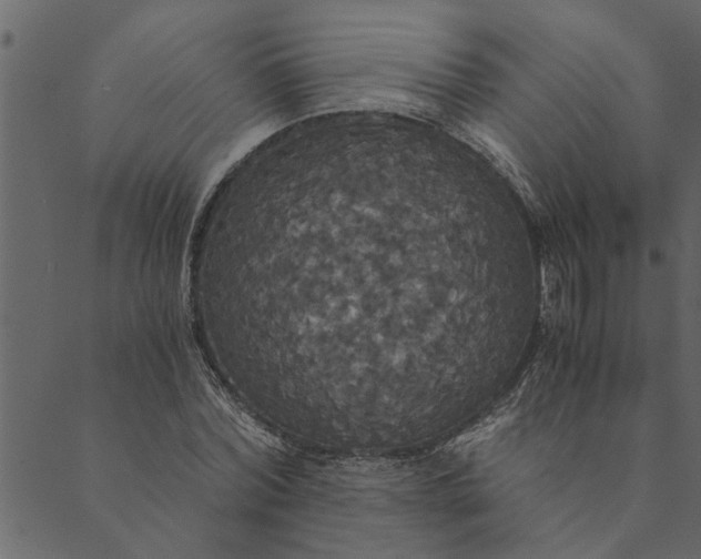 X0000089670780200707121223