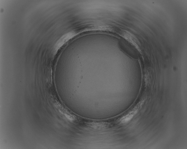 X0000089670781200707121223