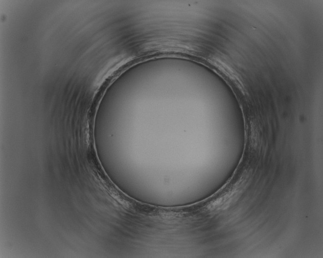 X0000089670782200707121223