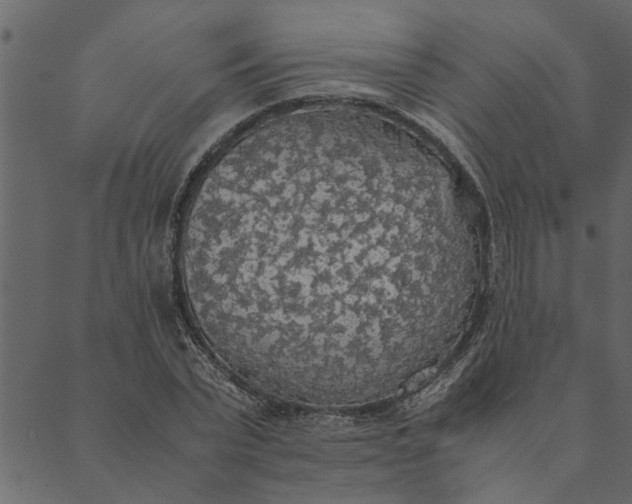 X0000089670783200707121223