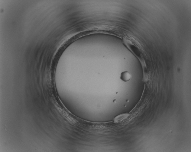 X0000089670784200707121223