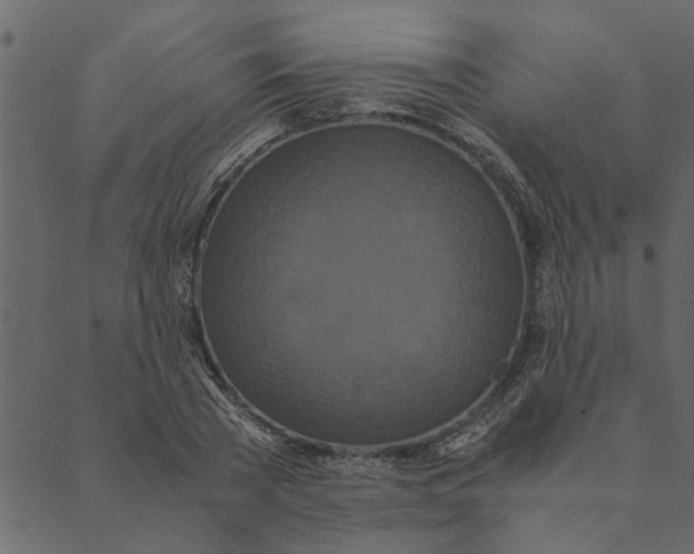 X0000089670785200707121223