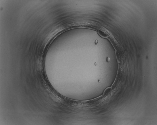 X0000089670786200707121223