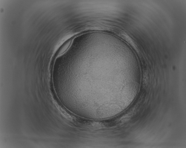 X0000089670787200707121223