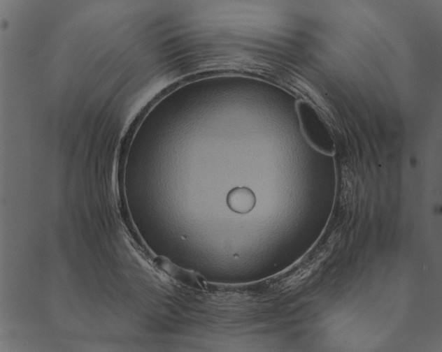 X0000089670788200707121223