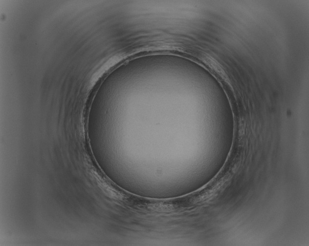 X0000089670789200707121223