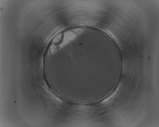 X0000089670790200707121223