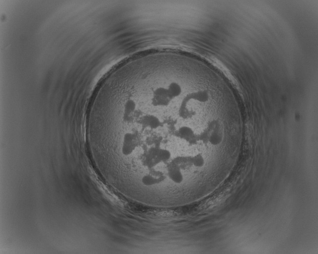 X0000089670791200707121223