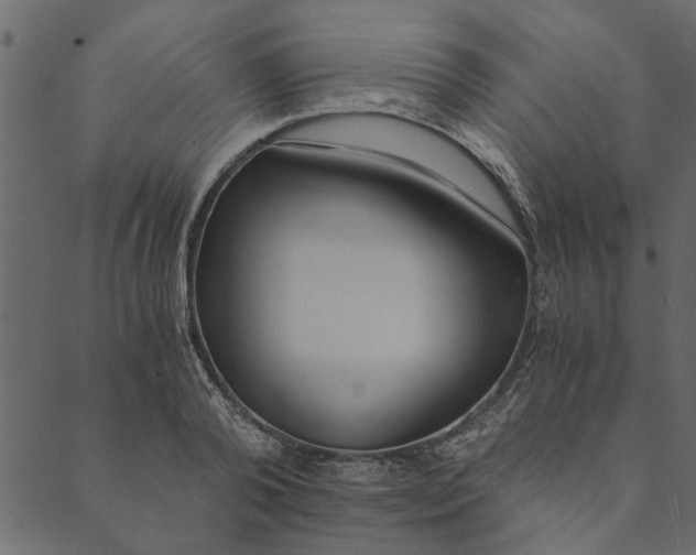 X0000089670792200707121223