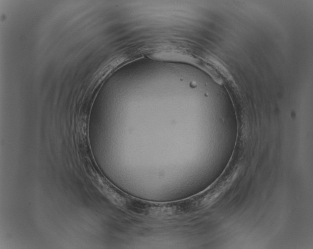 X0000089670793200707121223