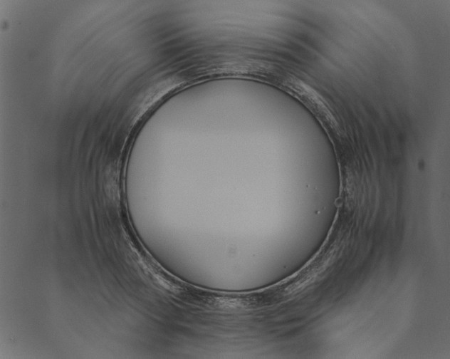 X0000089670794200707121222