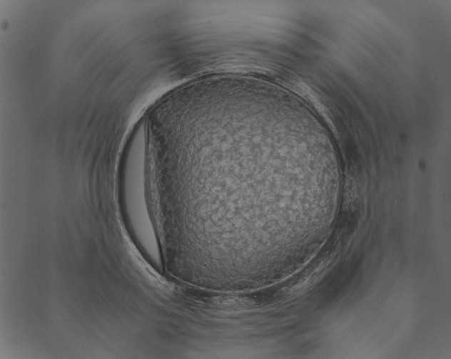 X0000089670795200707121222