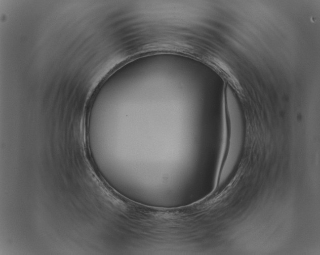 X0000089670796200707121222