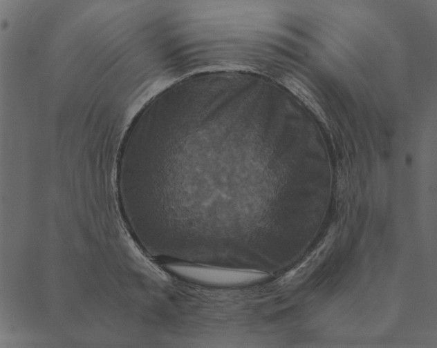 X0000089670797200707121222