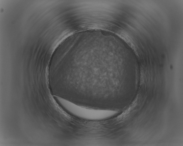 X0000089670798200707121222