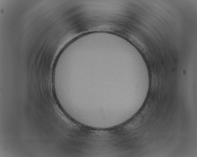 X0000089670800200707121222