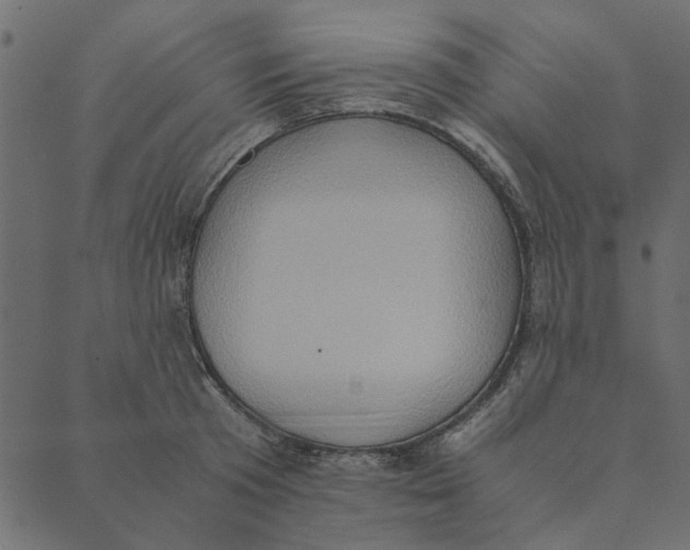 X0000089670801200707121222