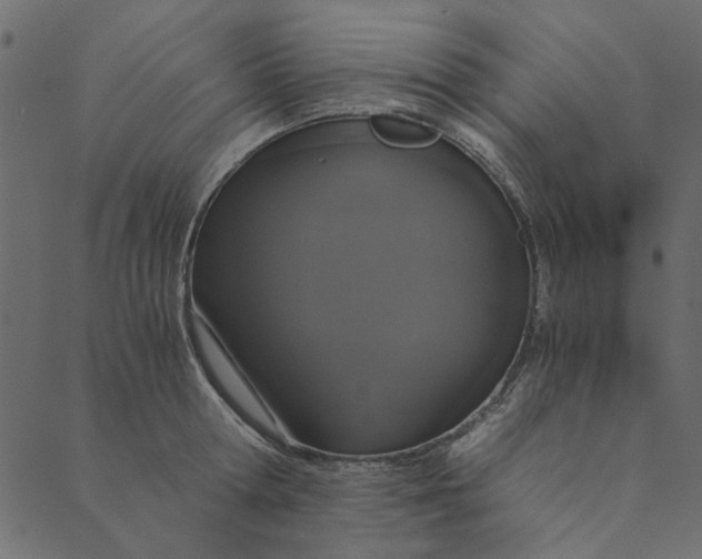 X0000089670802200707121222