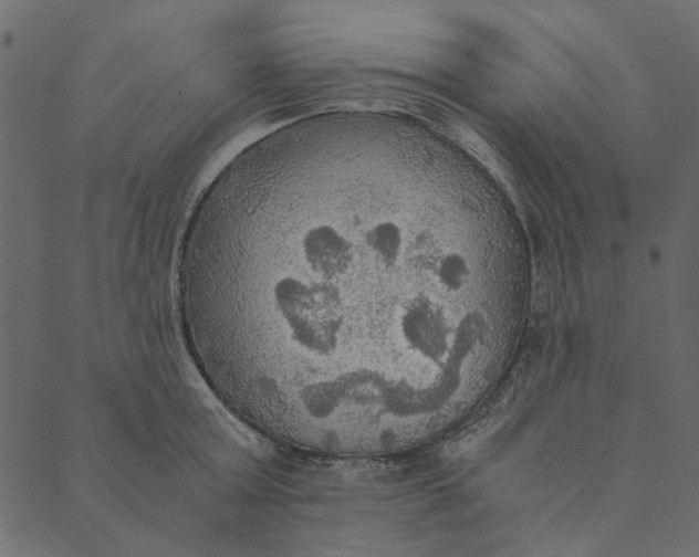 X0000089670803200707121222