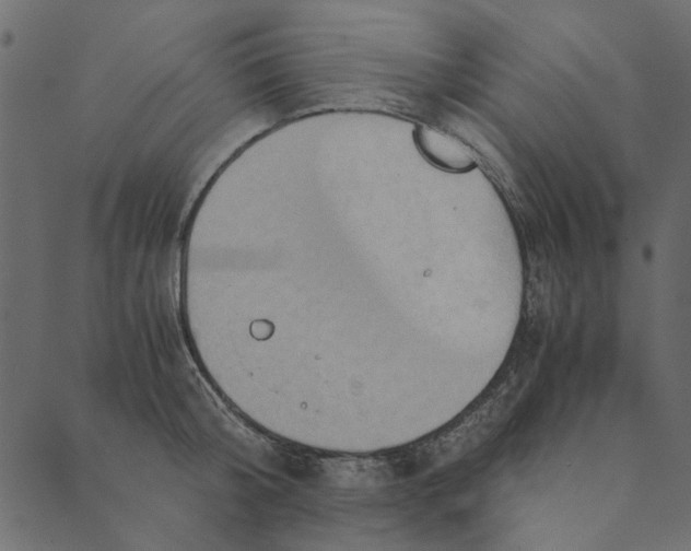 X0000089670804200707121222