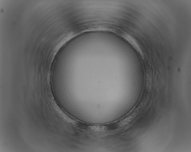 X0000089670805200707121222