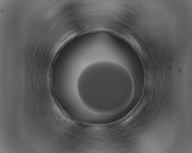 X0000089670806200707121222