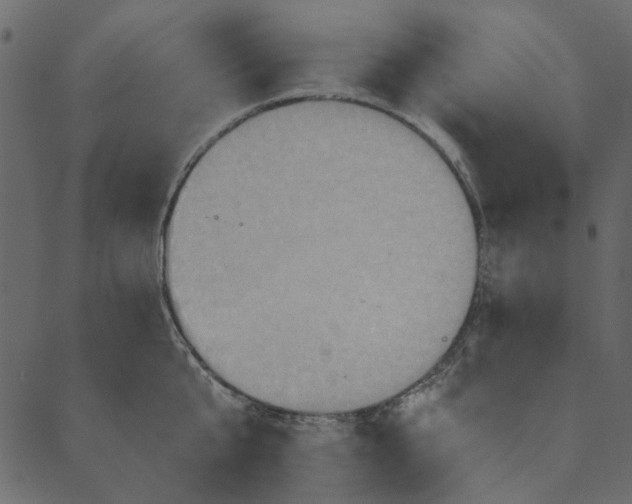 X0000089670807200707121222