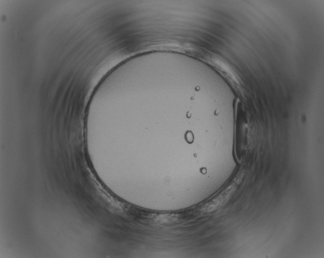 X0000089670808200707121222