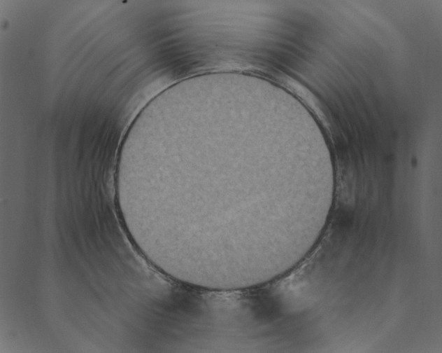 X0000089670810200707121222