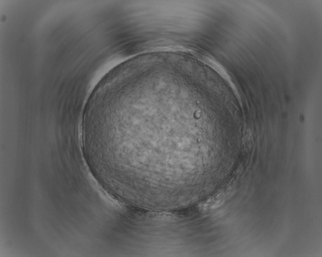 X0000089670811200707121222