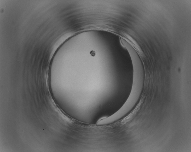 X0000089670812200707121222