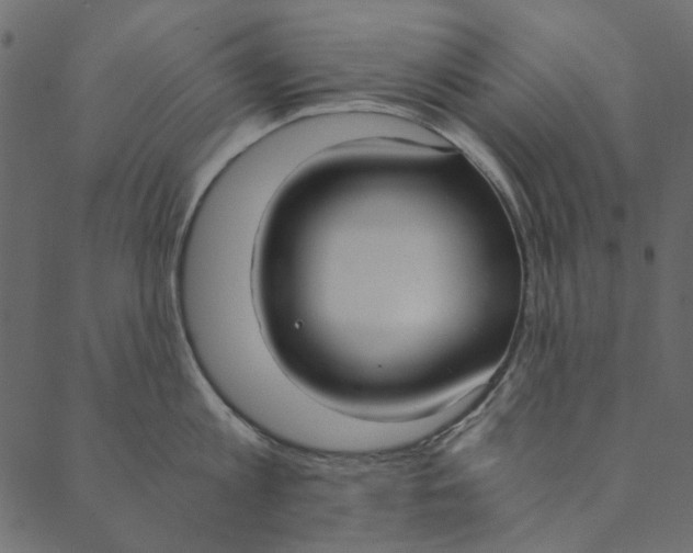 X0000089670813200707121222