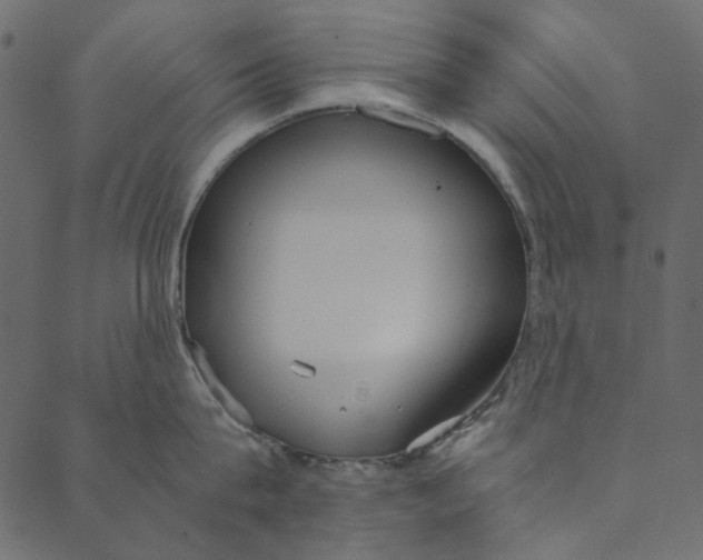 X0000089670815200707121222