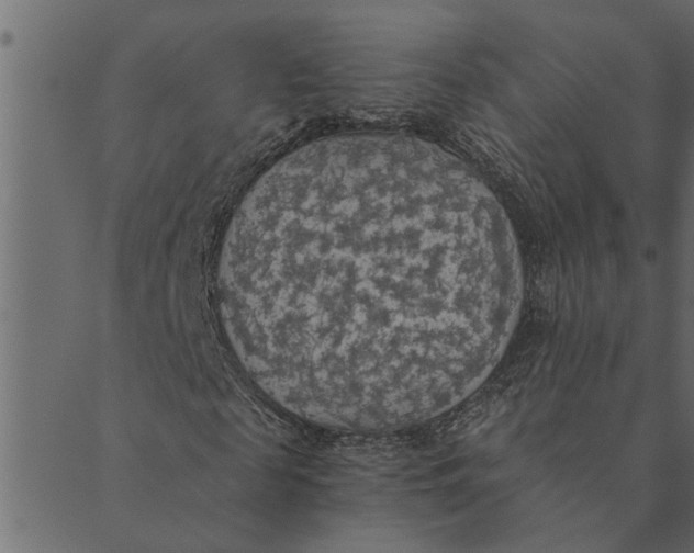 X0000089670817200707121221