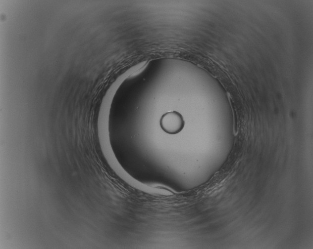 X0000089670818200707121221