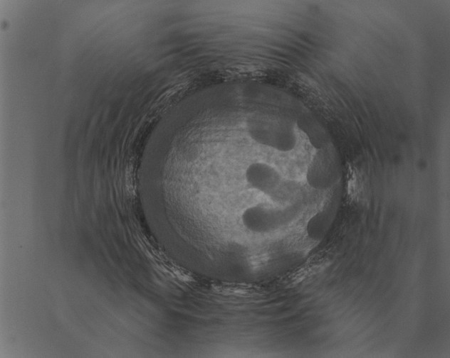 X0000089670819200707121221