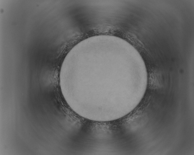 X0000089670820200707121221