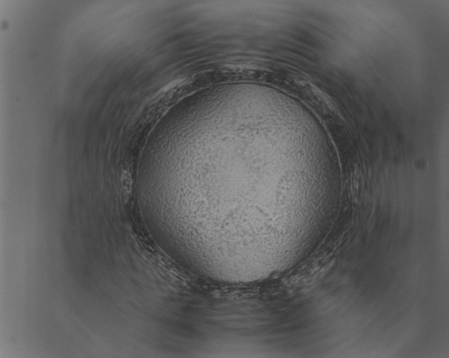 X0000089670821200707121221