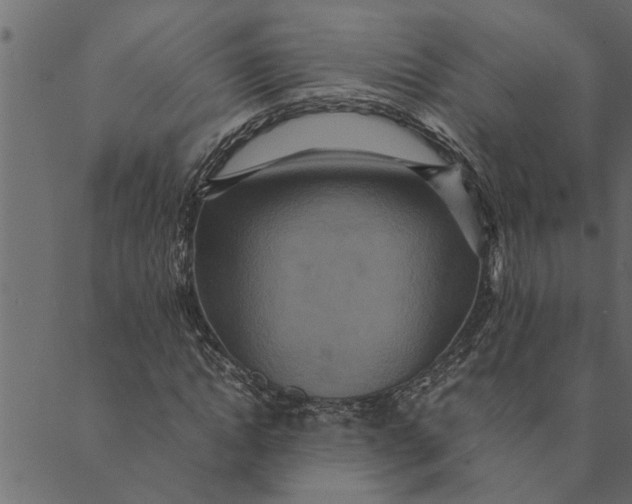 X0000089670822200707121221