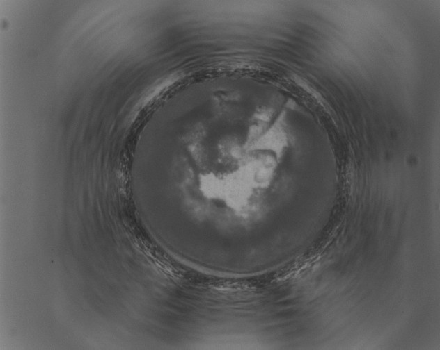 X0000089670823200707121221