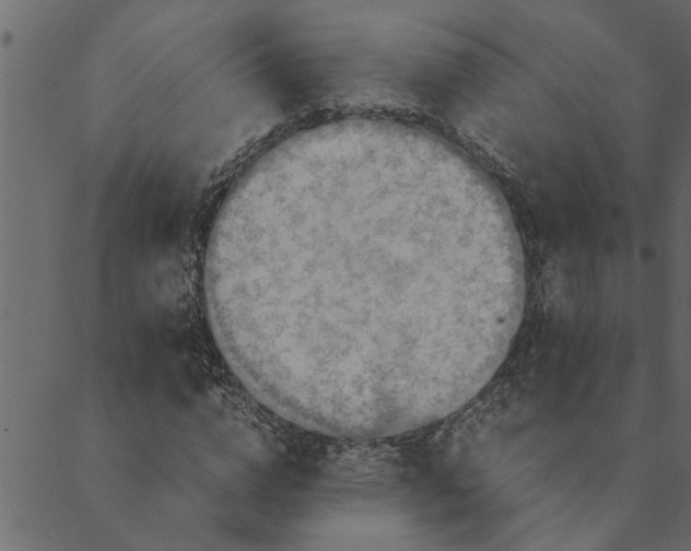 X0000089670824200707121221