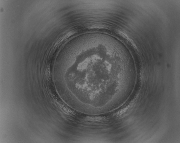 X0000089670825200707121221