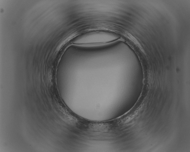 X0000089670826200707121221