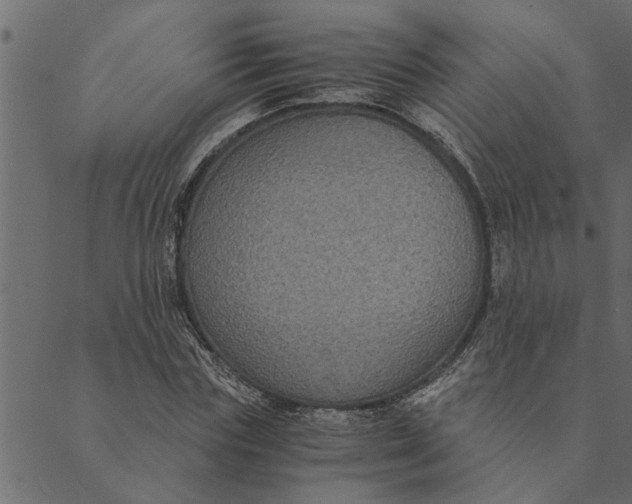 X0000089670827200707121222