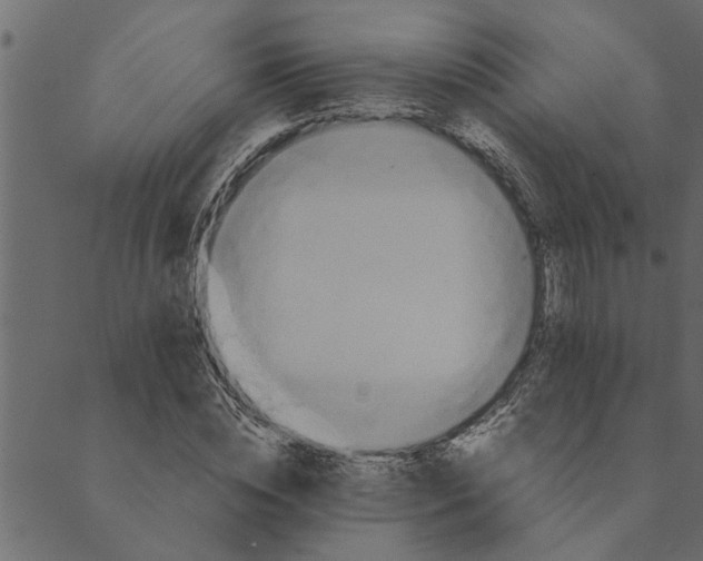 X0000089670828200707121222