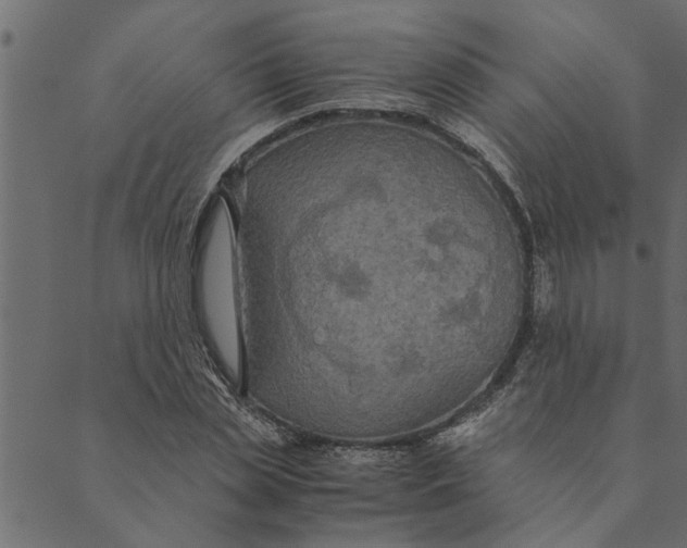 X0000089670829200707121222