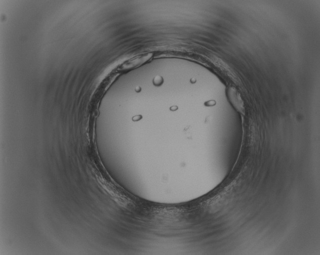 X0000089670830200707121222